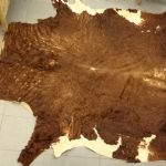 909 8619 COW HIDE